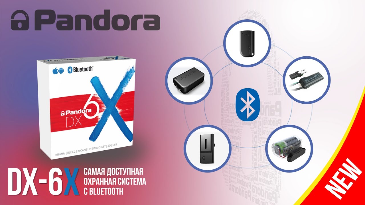 Обзор системы Pandora DX 6X 2019 модельного года