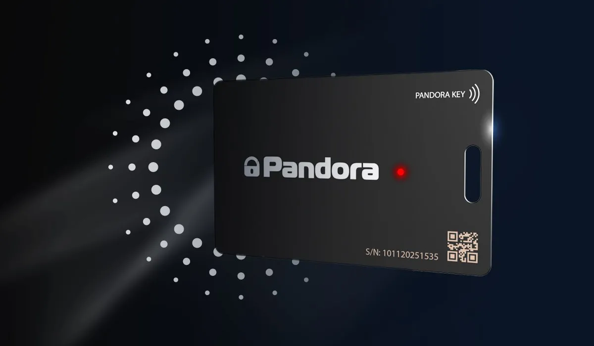 Новинка карта-метка Pandora Card