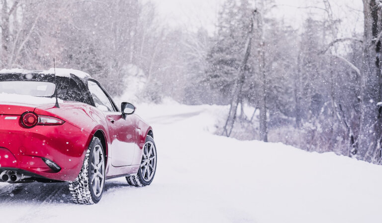 9774-768x448.jpg 9774-768x448.jpg