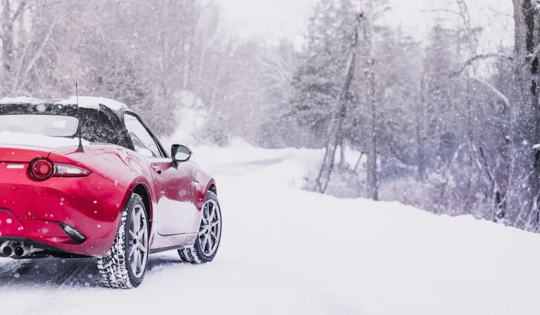 9774-768x448.jpg 9774-768x448.jpg